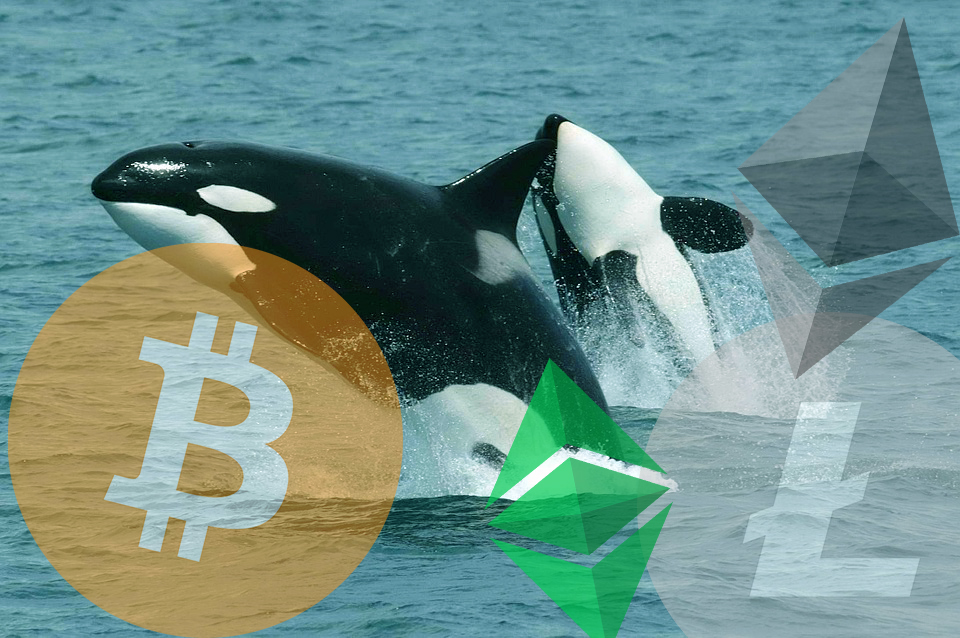 bitcoin whales selling